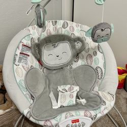 Baby Bouncer 