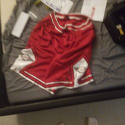 Vintage Jordan Shorts Xxl