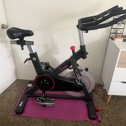 Sunny Bike - Magnetic Wheel - Like New 