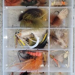 Flying Fishing   Bug's 🎣 