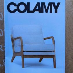 Mid CENTURY ACCENT CHAIR