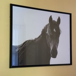 Framed Horse artwork - black Frame With Glass