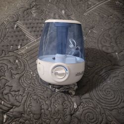 Humidifier 30