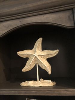 Starfish