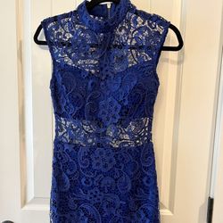 Cobalt Blue Dress 