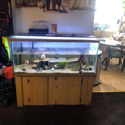 🤩 75 Gallon Fish Tank With Stand