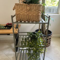 Plant Garden Shelves 