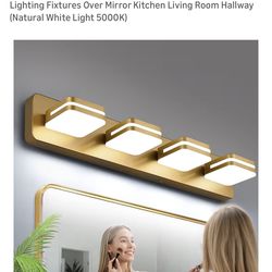 Vanity light fixture