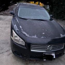 2010 Nissan Maxima