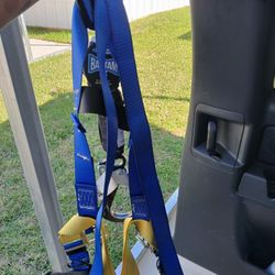 Safety Harness