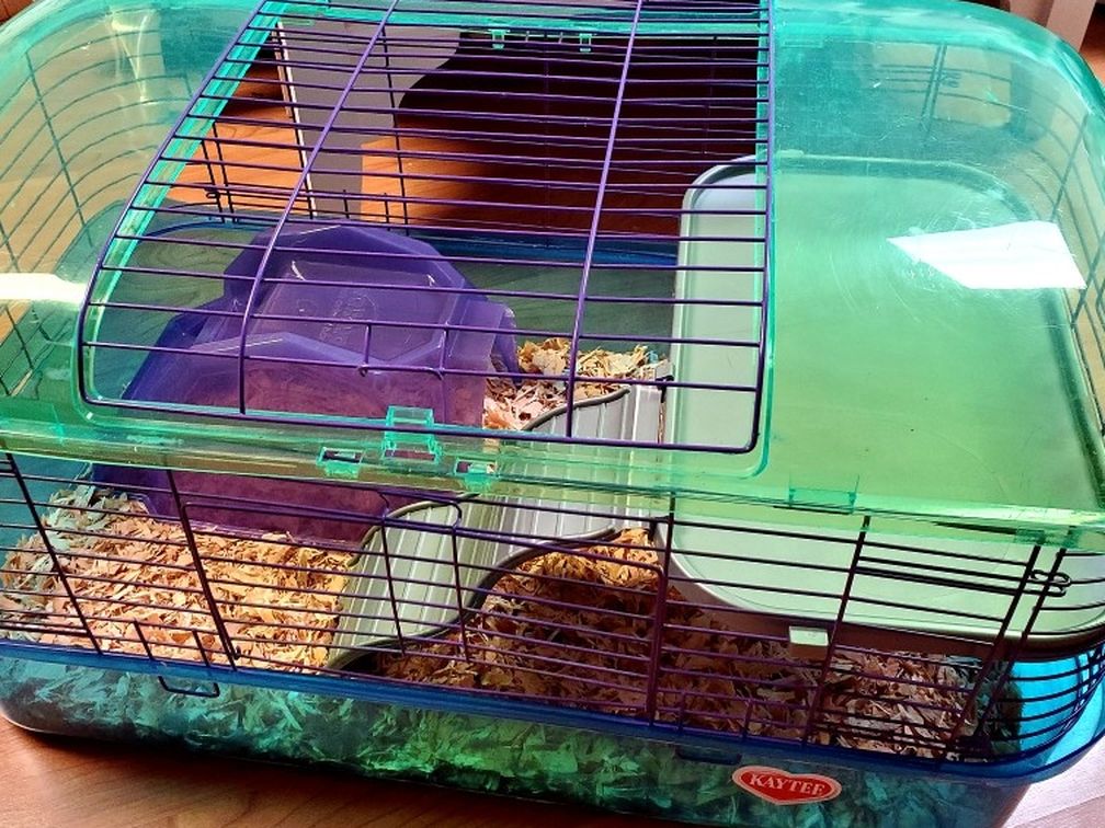 Guinea Pig Cage with House