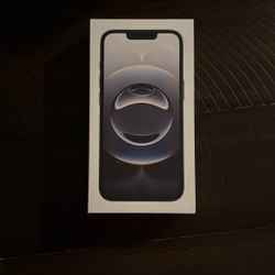 iPhone 16E