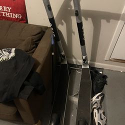 Bird scooters 