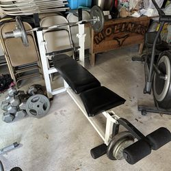 Weight Bench (weights and bar not included)
