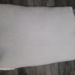 Brand New Dog 🐕 Bed