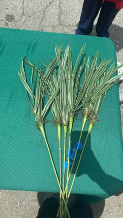 Artificial plant decoration