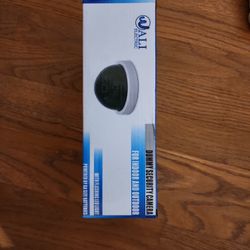 Fake Security Camera