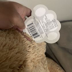 plush teddy bear 