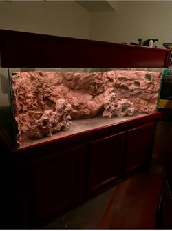 135 G Glass Fish Tank Aquarium With Aquadecor Background