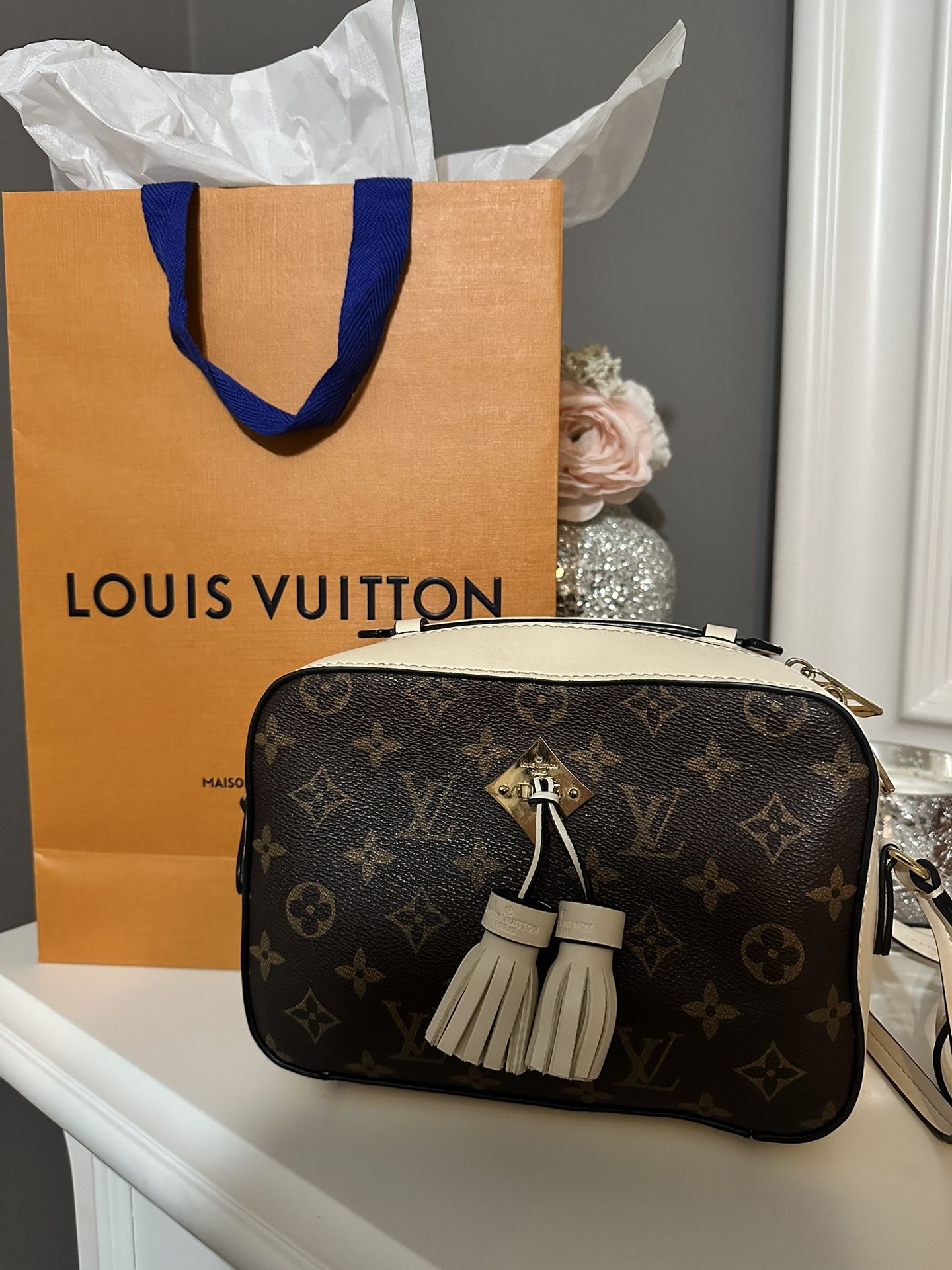 Louis vuitton Bag