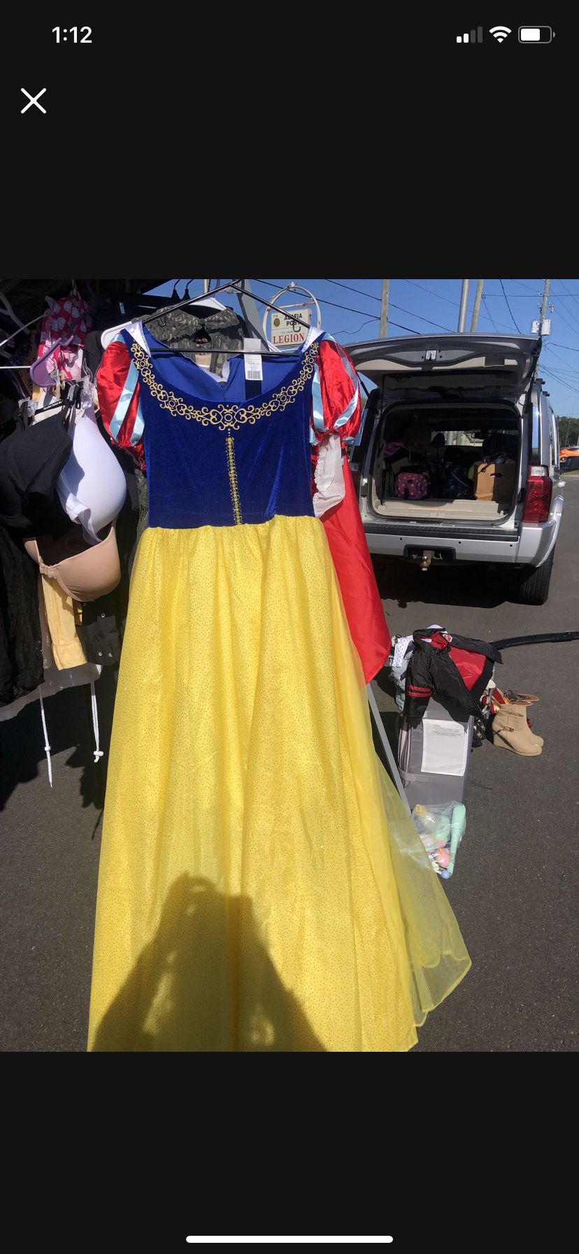 Princess Disney dress