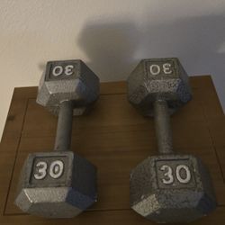 30 lb Dumbells (pair)