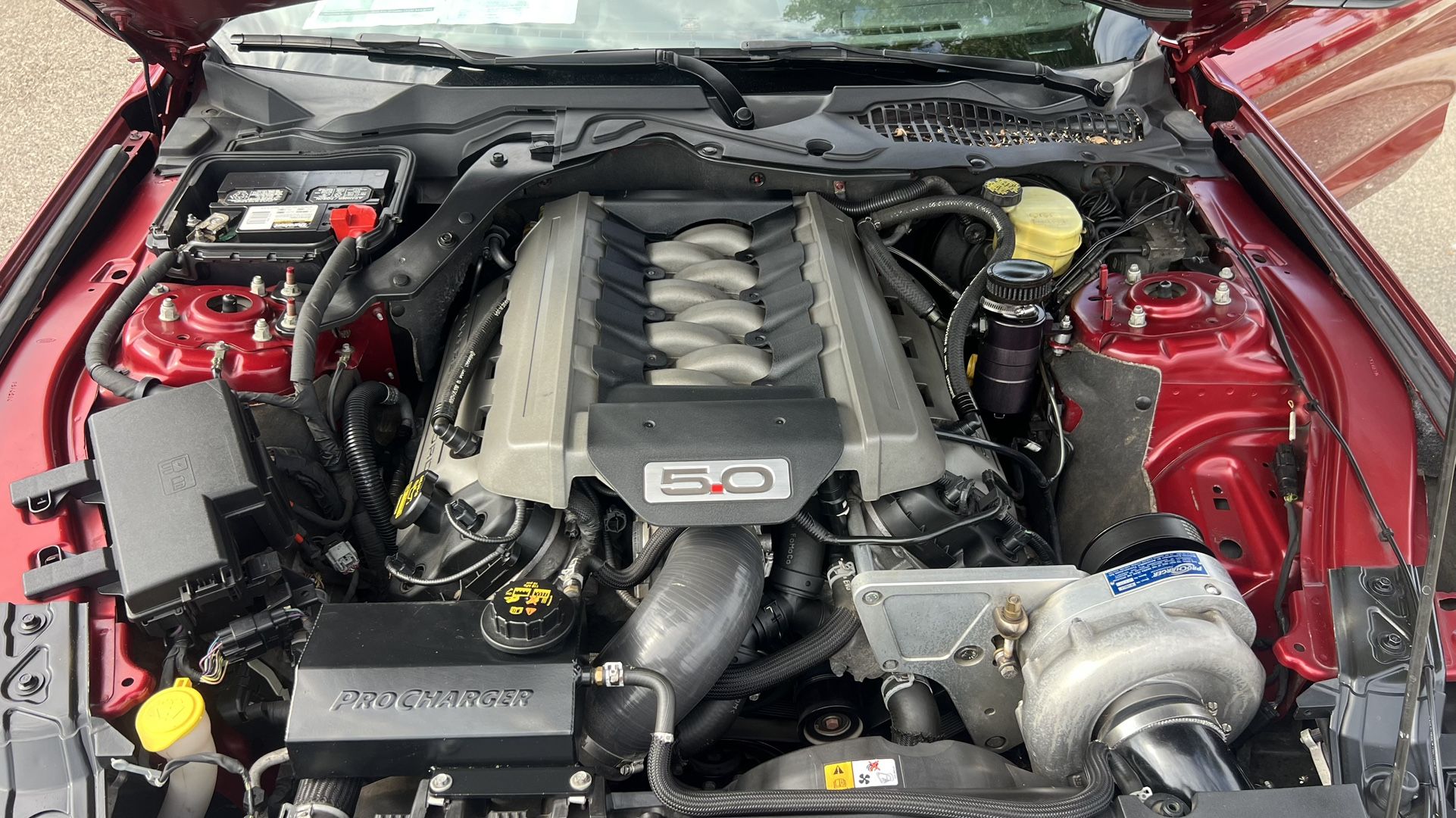 MUSTANG GT 2015 PROCHARGER 650hp+