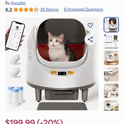 Litter Box Cat