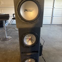 Performance technique woofers