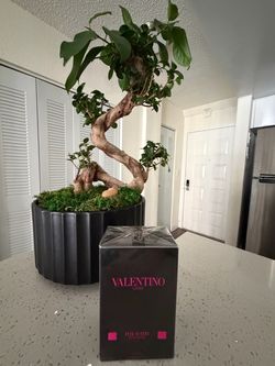 Valentino Born in Roma Uomo Extradose – Nuevo Sellado 🔥