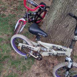 2 bike 18