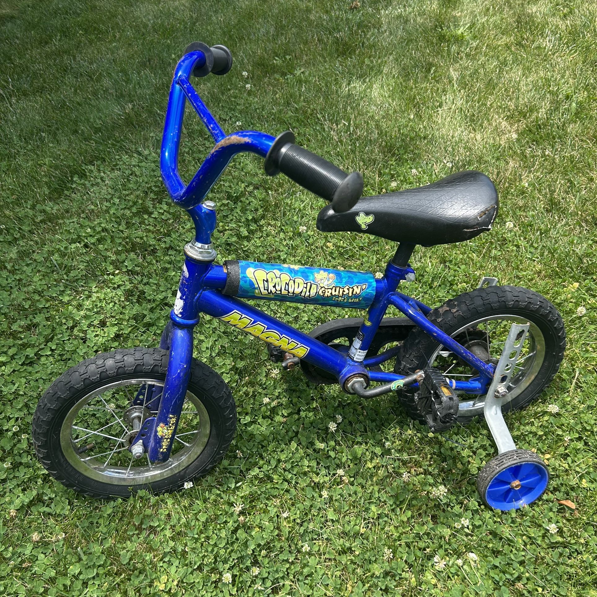 Magna Crocodile Cruiser Kids Bike w/ Training Wheels
