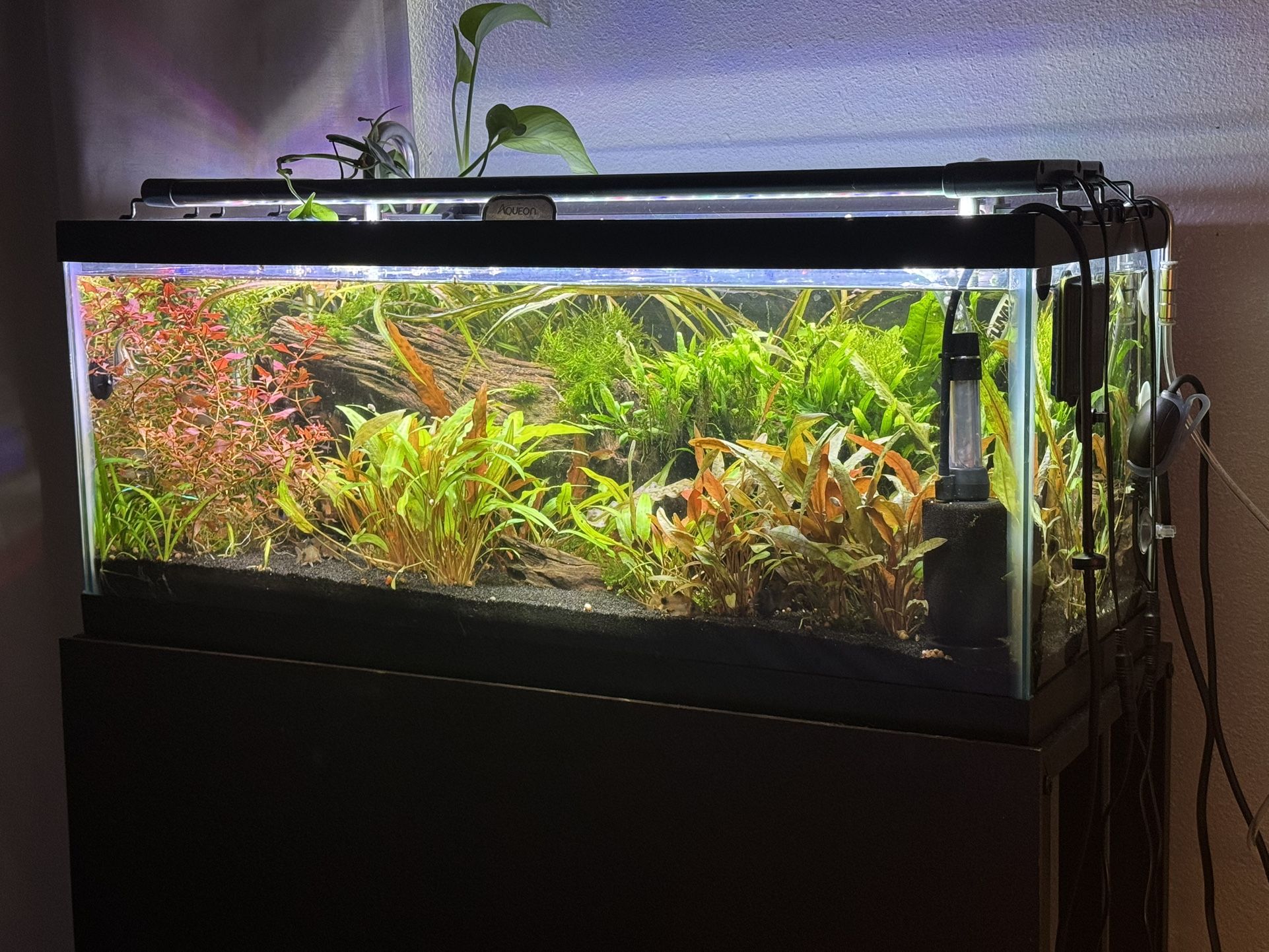 TWO Aquarium Lights. Hygger 24/7 30”-36” Selling As A Pair