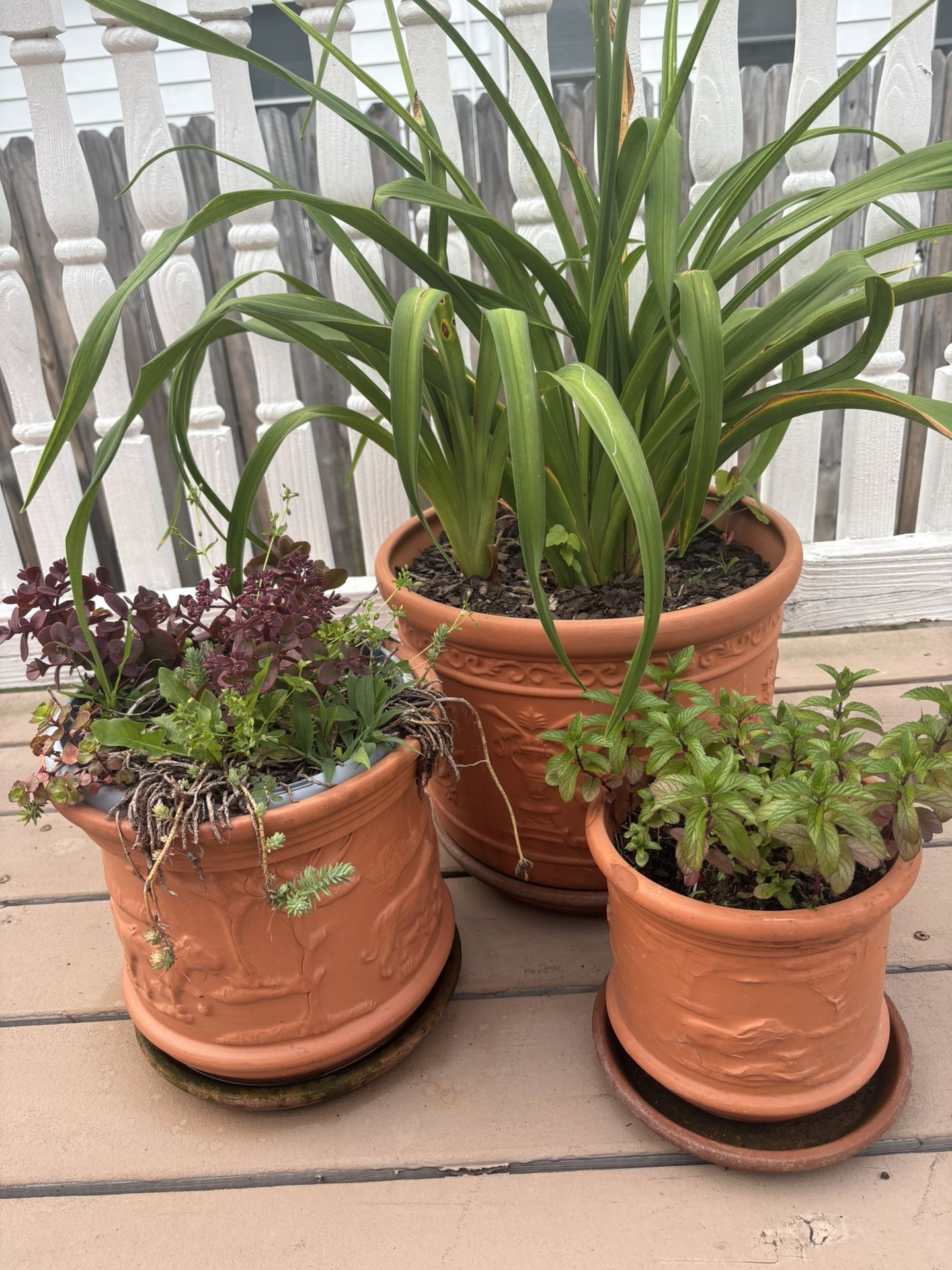 2 Sets Of 3 Terra Cotta Planters With Growing Flowers