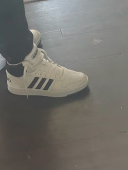 Adidas hoop 2.0  converse chicken