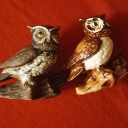 Owl Set Decor 