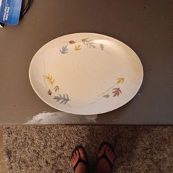 Franciscan USA Cartmewear Plate