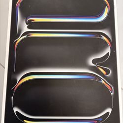 iPad Pro M4 13” 256gb