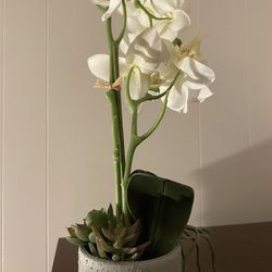 White Orchid Faux Plant