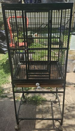 Bird Cage