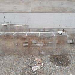 Rabbit / Bird Cages 