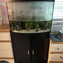 Used 20 Gallon Aquarium 