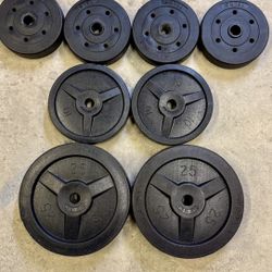 100 Pound Set Of Standard Plastic Covered Weights