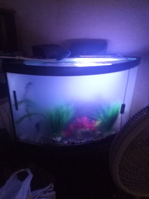 55 Gallon Corner Tabk