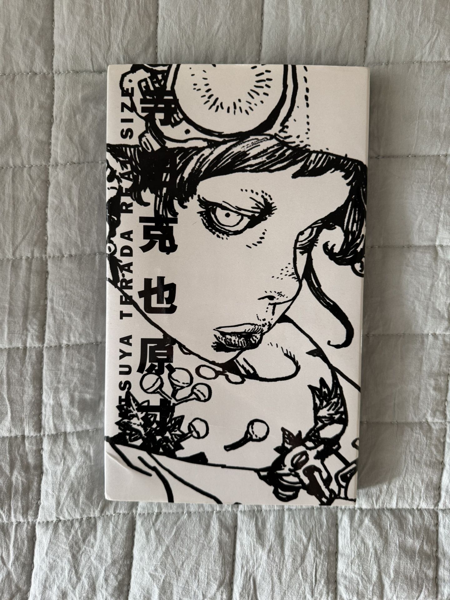 KATSUYA TERADA REAL SIZE Artbook