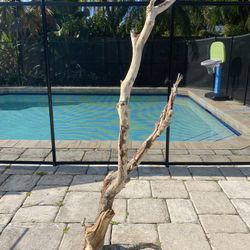 Driftwood large -49 Tall
