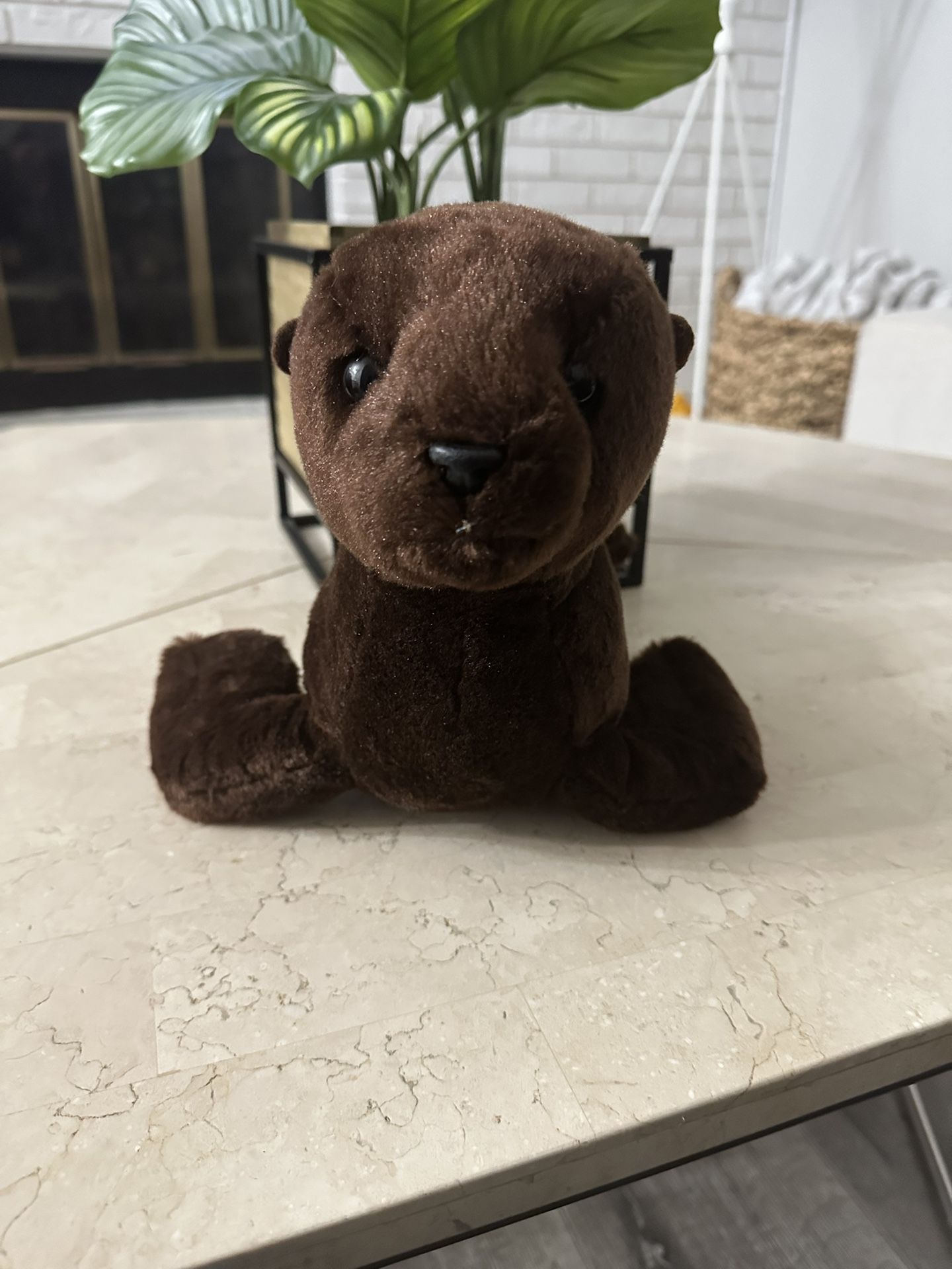 Stuffed Animal