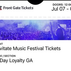 Levitate Music Festival 