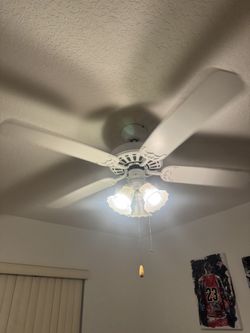 Celling Fan 