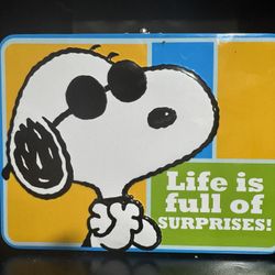 Snoopy Lunch Box